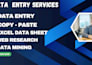data entry, copy paste google excel sheet web reseach